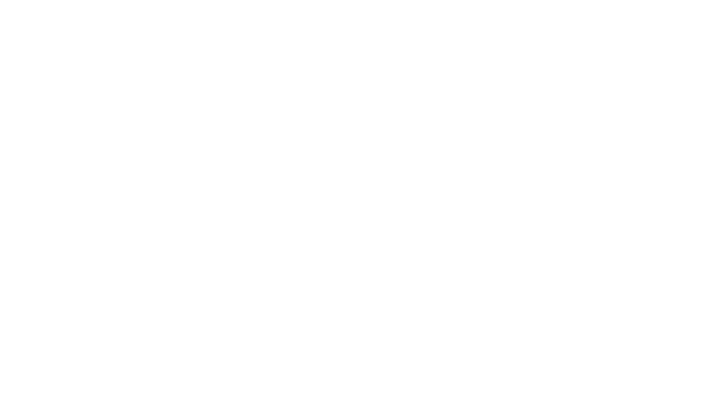 der leadership coach