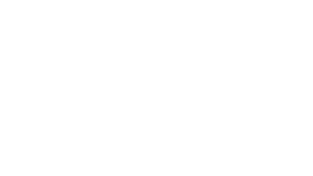 garage expert